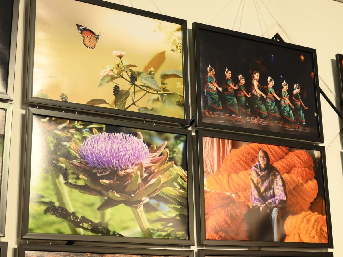 Exhibition wall I